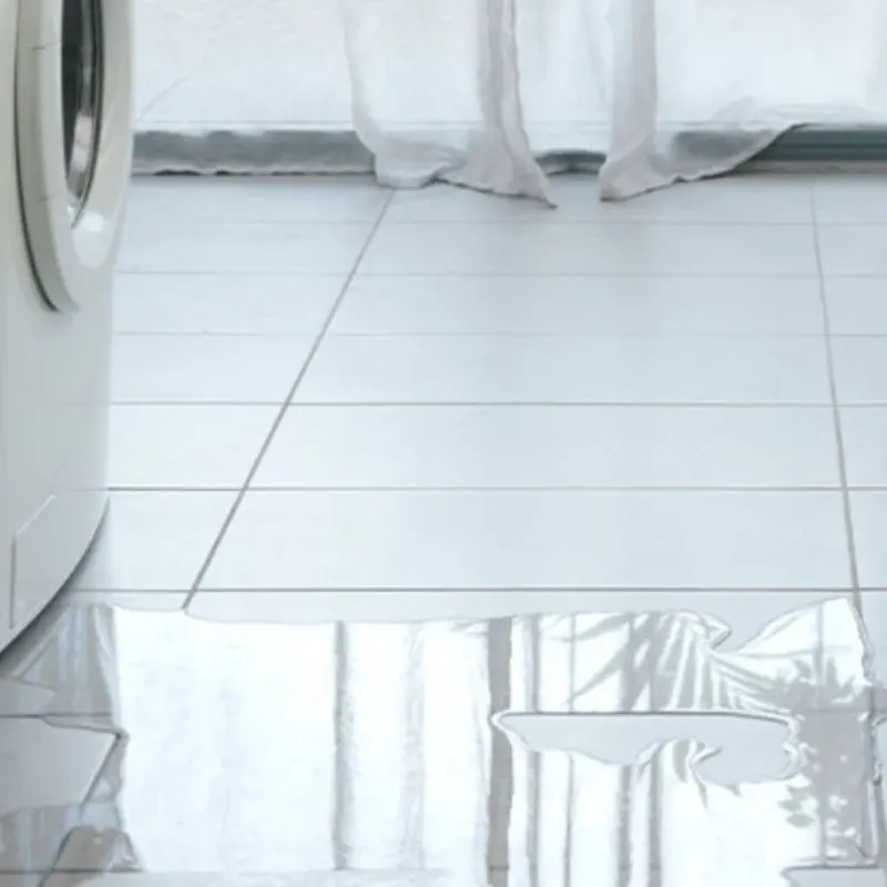Appliance Leak Cleanup in Savanna, IL