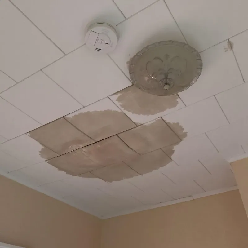 Ceiling Water Damage Repair in Savanna, IL