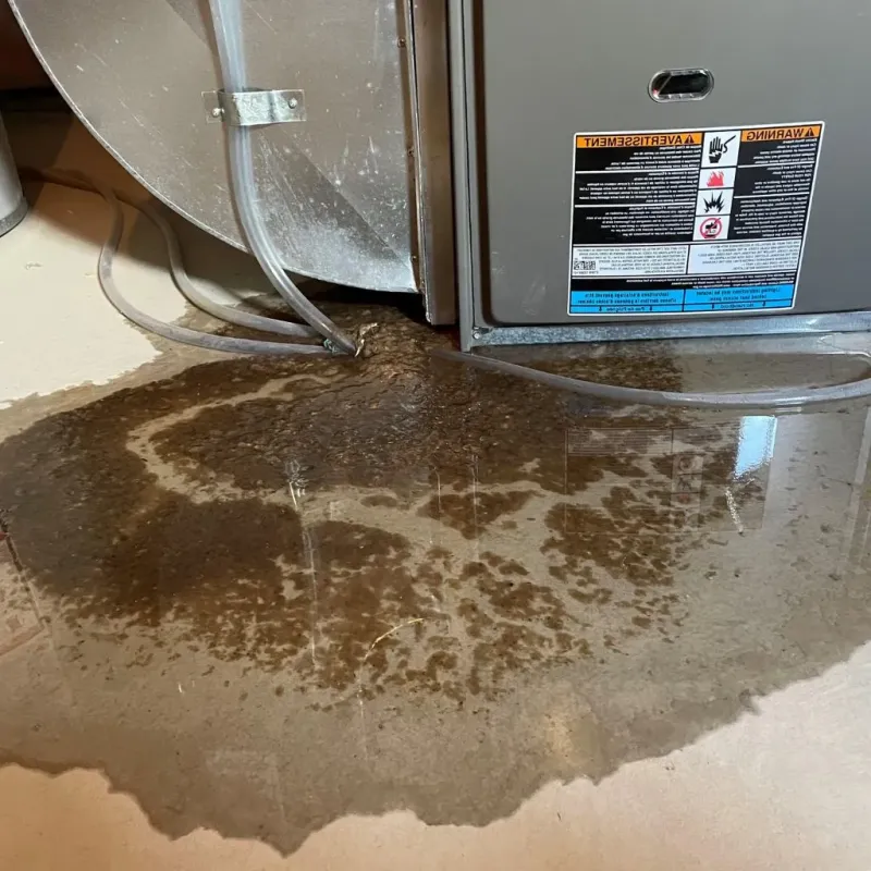 Pipe Burst and Leak Restoration in Savanna, IL