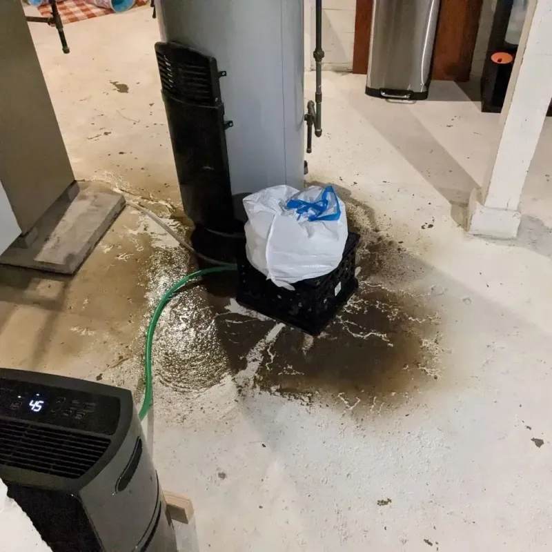 Sewage Backup Cleanup Service in Savanna, IL